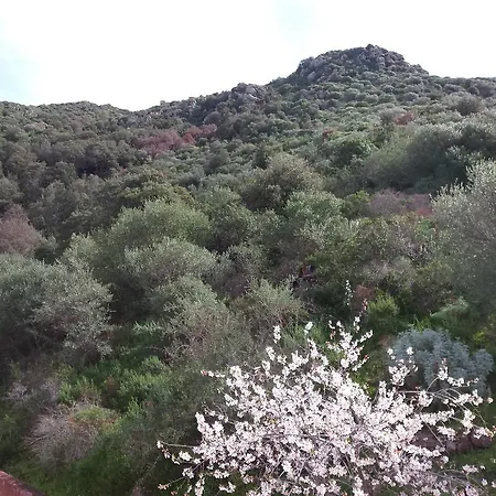 Casa Vacanze Le Ginestre